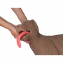 /simulateurs-de-soins-veterinaires/mannequin-de-chien-pour-techniques-de-reanimation-cardio-pulmonaire-rcp-p-4002912.1-600x600.jpg