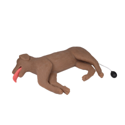 Mannequin de chien pour techniques de réanimation