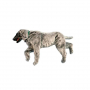 Mannequin de positionnement de chien 