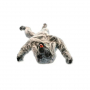 /simulateurs-de-soins-veterinaires/mannequin-de-positionnement-de-chien-p-4003942.1-600x600.jpg
