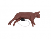 Mannequin de RCR de chat