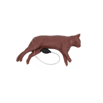 Mannequin de RCR de chat