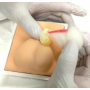 /simulateurs-de-soins-veterinaires/modele-d-exercice-de-castration-de-chien-p-4002904.1-600x600.jpeg