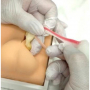 /simulateurs-de-soins-veterinaires/modele-d-exercice-de-castration-de-chien-p-4002904.2-600x600.jpeg