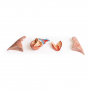 /simulateurs-de-soins-veterinaires/modele-d-une-chatte-enceinte-en-coupe-p-4002903.1-600x600.jpg