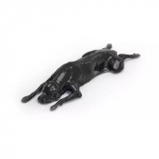 Modèle de fantôme de chien haute précision pour imagerie vétérinaire