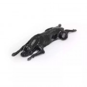 Modèle de fantôme de chien haute précision pour imagerie vétérinaire