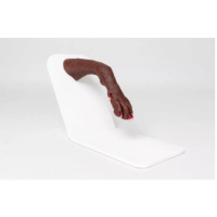 Modèle de patte de chien pour simulation de taille des griffes Modèle de patte de chien pour simulation de taille des griffes