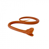Modèle de serpent pour intubation endotrachéale