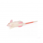/simulateurs-de-soins-veterinaires/modele-de-souris-pour-simulation-biomedicale-p-4003991.1-600x600.jpg