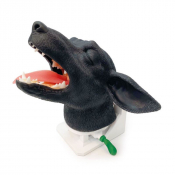 Modèle de tête de chien pour exercice d'intubation