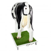 Simulateur avancé pour l'insémination artificielle de la vache