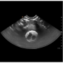 /simulateurs-de-soins-veterinaires/simulateur-d-entrainement-ultrasonique-canin-p-4004393.5-600x600.png