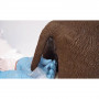 /simulateurs-de-soins-veterinaires/simulateur-de-catheterisme-p-4004395.4-600x600.jpeg