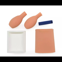Simulateur de cystocentèse réaliste