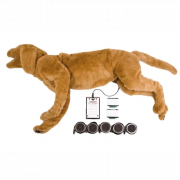 Simulateur de respiration et de bruit cardiaque K9