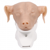 Tête de chien pour simulation d'otoscopie