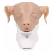 Tête de chien pour simulation d'otoscopie