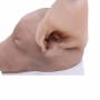 /simulateurs-de-soins-veterinaires/tete-de-chien-pour-simulation-d-otoscopie-p-4002913.1-600x600.jpg