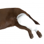 /soins-pour-chevaux/bande-tubulaire-extensible-kruuse-p-4002798.1-600x600.jpg