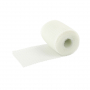 /soins-pour-chevaux/ruban-de-moulage-en-fibre-de-verre-p-4002809.2-600x600.jpg