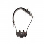 Collier Anti-Fugue Sans Fil CANIFUGUE FUG1034 – Rechargeable – Étanche – Multi-Chien