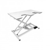 Table d'échographie vétérinaire ECHO PRO 1