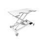 /table-d-echographie-veterinaire/table-d-echographie-veterinaire-echo-pro-1-p-4004226.1-600x600.jpg