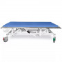 /table-de-chirurgie-/table-veterinaire-goliat-slvr-charge-maximum-150-kg-p-4004190.1-600x600.jpg