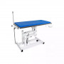 Table vétérinaire J-VET 2 H