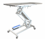 /table-de-consultation-veterinaire-electrique/table-d-examen-eco-vet-p-4003084.2-600x600.jpg