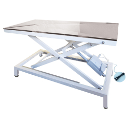 Table d'examen électrique sur pieds