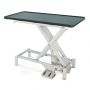 /table-de-consultation-veterinaire-electrique/table-d-examen-fixe-vet-lift-p-4003085.1-600x600.jpg