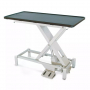 /table-de-consultation-veterinaire-electrique/table-d-examen-fixe-vet-lift-p-4003085.2-600x600.jpg