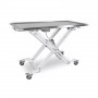 Table électrique vétérinaire ANURO 2 avec roulettes