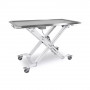 /table-de-consultation-veterinaire-electrique/table-electrique-veterinaire-anuro-2-avec-roulettes-p-4004179.1-600x600.jpg