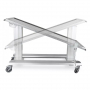 /table-de-consultation-veterinaire-electrique/table-veterinaire-urso-2-p-4004210.3-600x600.jpg