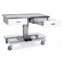 /table-de-consultation-veterinaire-electrique/table-veterinaire-urso-avec-tiroirs-p-4004192.1-600x600.jpg