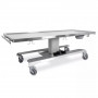 /table-de-consultation-veterinaire-electrique/table-veterinaire-urso-max-p-4004193.1-600x600.jpg