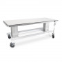 Table de radiographie vétérinaire pour appareil de radiographie à arceau en C