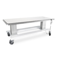 Table de radiographie vétérinaire pour appareil de radiographie à arceau en C