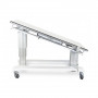 /tables-de-radiographie/table-de-radiographie-veterinaire-urso-2-xr-slide-p-4004224.1-600x600.jpg