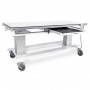 /tables-de-radiographie/table-de-radiographie-veterinaire-urso-2-xr-slide-p-4004224.2-600x600.jpg