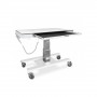 Table de radiographie vétérinaire URSO XR