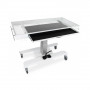 /tables-de-radiographie/table-de-radiographie-veterinaire-urso-xr-p-4004222.3-600x600.jpg