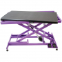 /tables-de-toilettage/table-de-toilettage-electrique-callisto-p-4003303.1-600x600.jpg