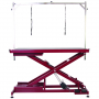 /tables-de-toilettage/table-de-toilettage-electrique-callisto-p-4003303.3-600x600.jpg
