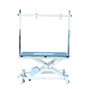 Table de  toilettage électrique potence double