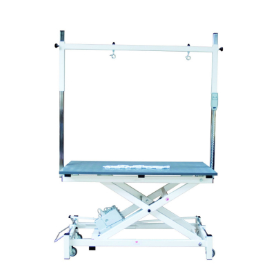 Table de  toilettage électrique potence double
