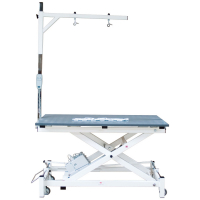 Table de toilettage électrique potence simple Table de toilettage électrique potence simple